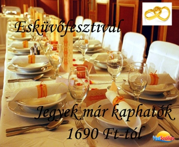 NETSZÁLLÁS  EGYEDÜLÁLLÓ  AJÁNLATA!