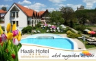 Hasik Hotel 